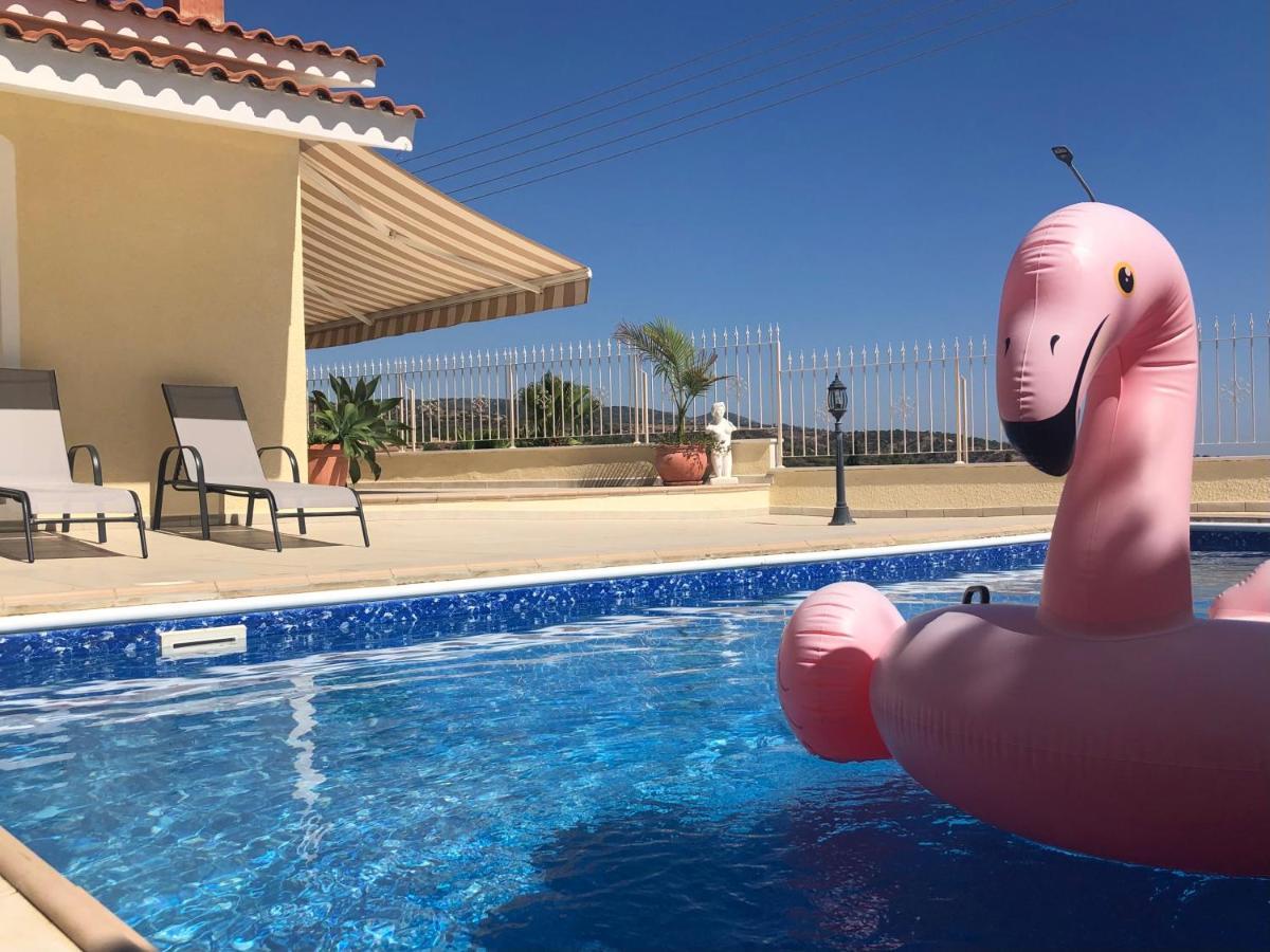 Peyia Palm Villa Pafos Zewnętrze zdjęcie